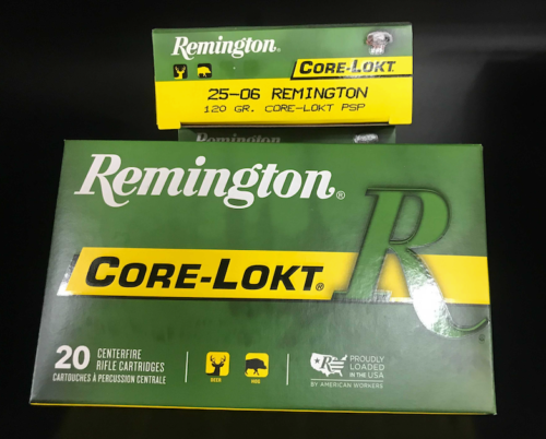 products Remington Core Lokt 25 06 120gr PSP 23583.1621637337.1280.1280