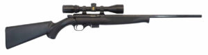 Mossberg 817 - 17HMR