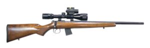 CZ 452 2E ZKM 17HMR Package