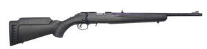 Ruger American Rimfire 22LR