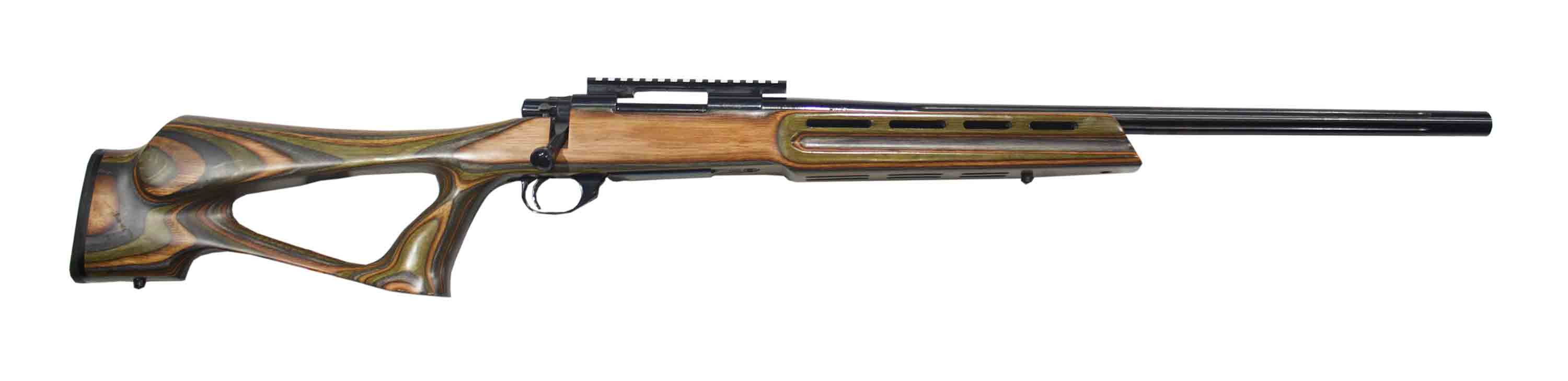 Howa 1500 Varmint Boyds 308 Win