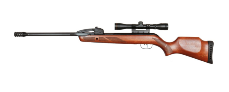Brisbane Gun Shop Gamo Replay Fast Shot Wood