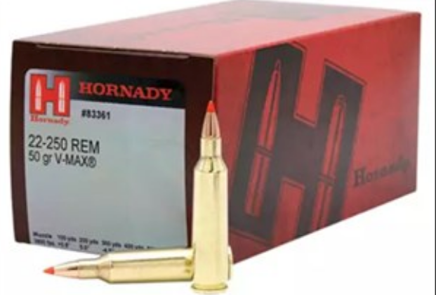 Hornady Classic 22/250 50GR V-max polymer tip