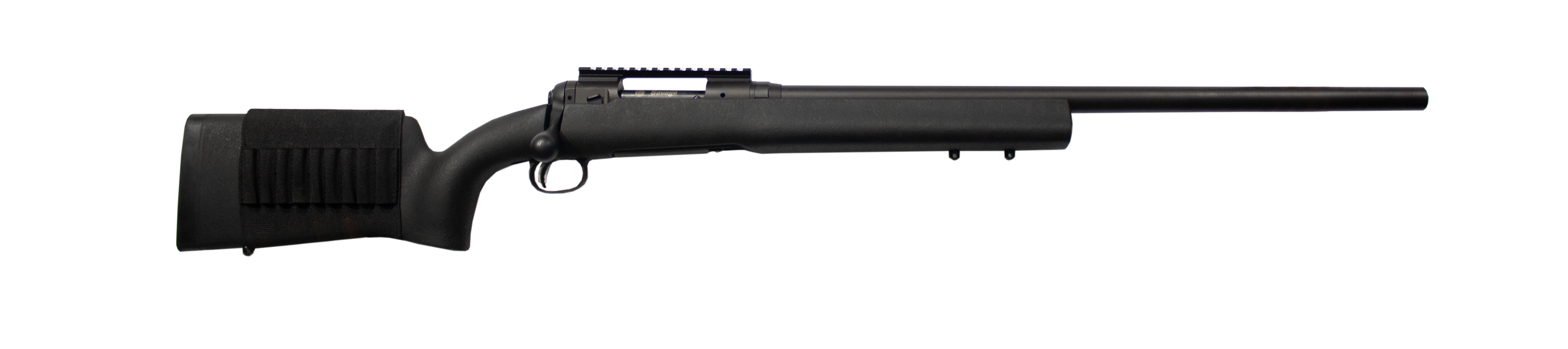 Savage Model 10 308 Win